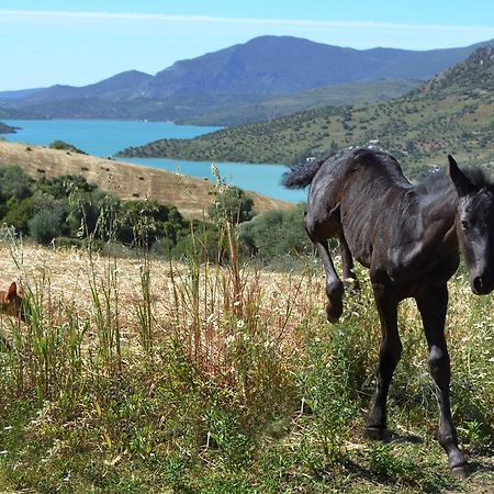 Apartamentos Finca Ranchiles Montecorto Dış mekan fotoğraf